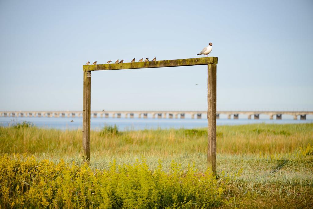 فندق Nyborg Strandcamping المظهر الخارجي الصورة